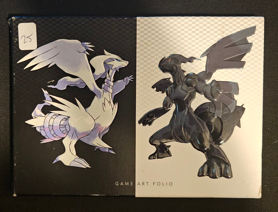 Pokemon Black and White Version Game Art Folio