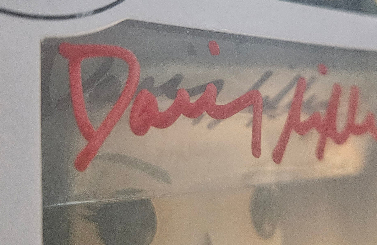 Pop! Star Wars – Dark Side Rey #359 - Daisy Ridley Signed